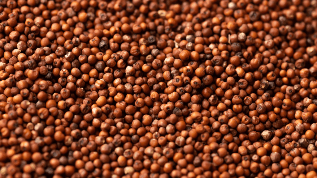 Kodo Millet: Benefits, Uses, and Side Effects