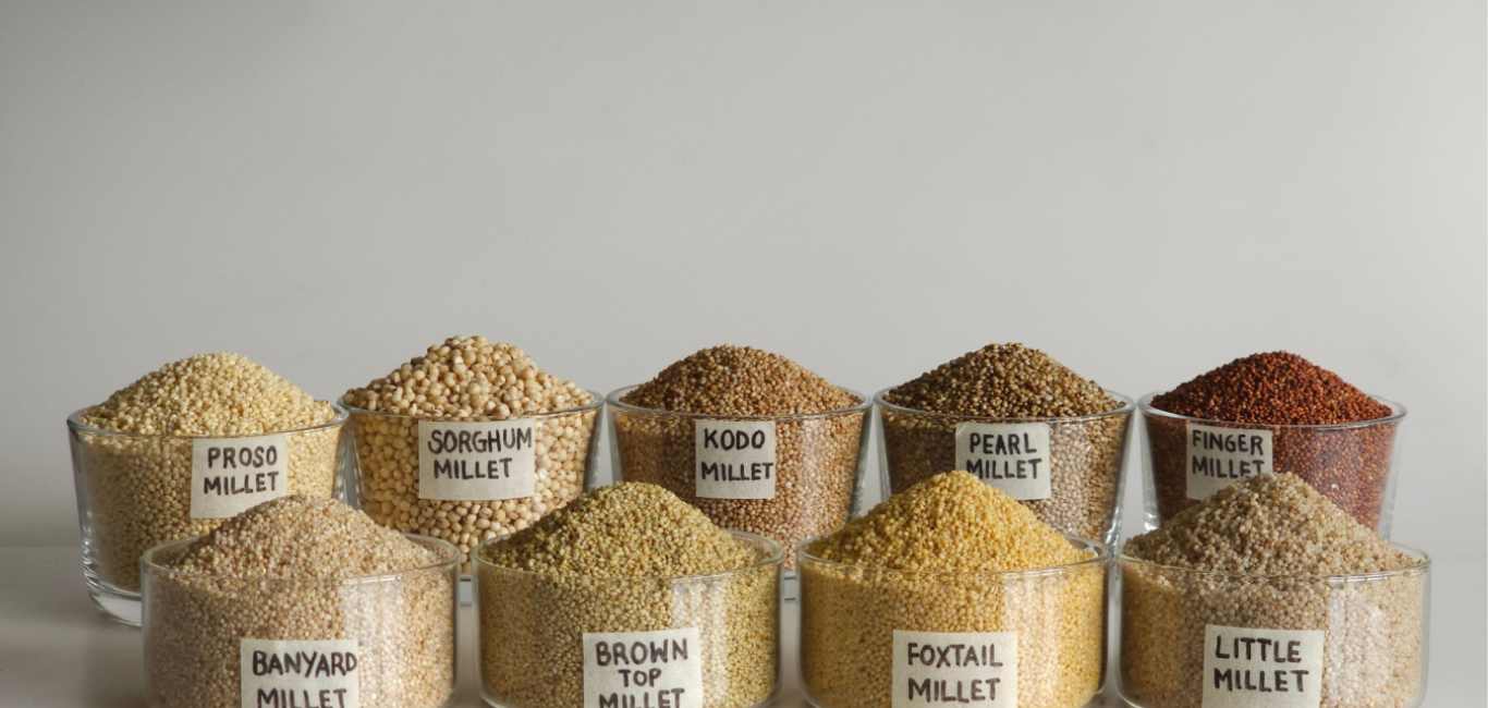 Millet: Nutrition, Health Benefits, and Uses