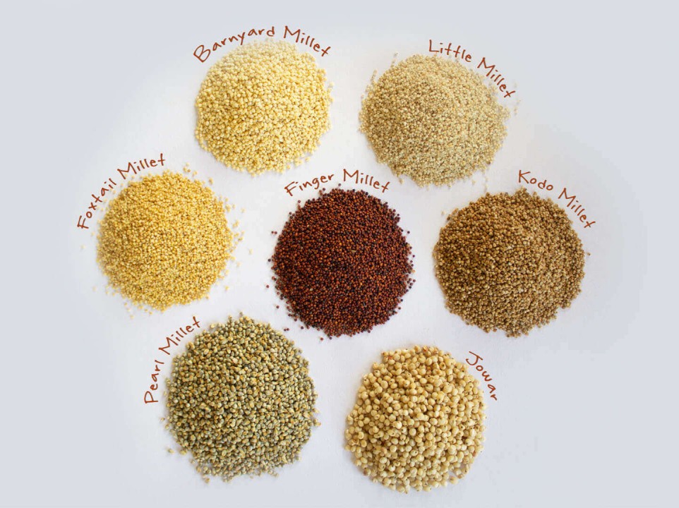 Types and Names of Millets in India